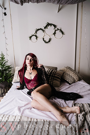 Christmas Shoot