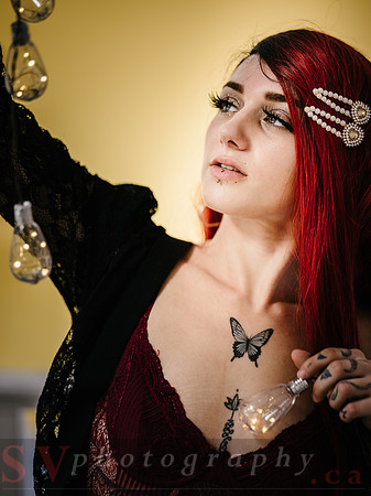 Christmas Shoot
