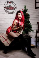 Christmas Shoot