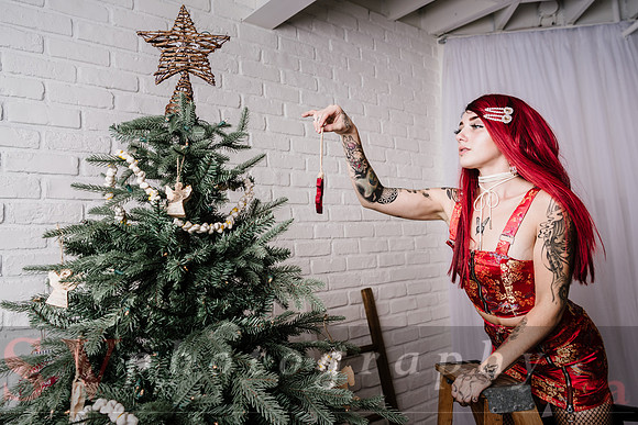 Christmas Shoot
