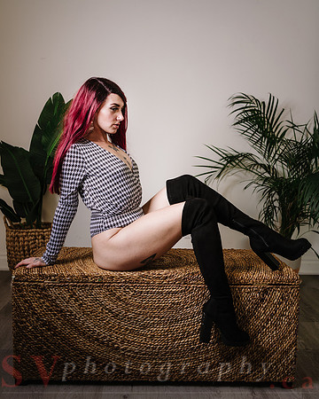 Christmas Shoot