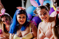 The Bunny