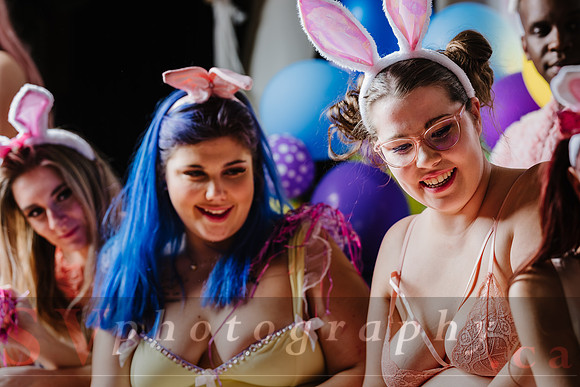 The Bunny