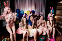 The Bunnies