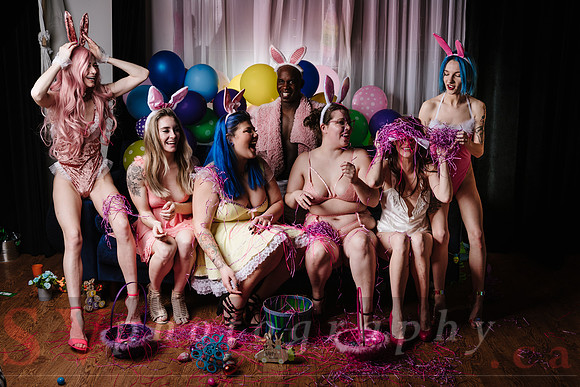 The Bunnies