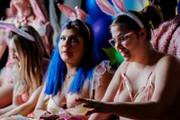 The Bunny