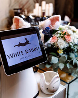 The White Rabbit