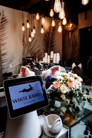The White Rabbit