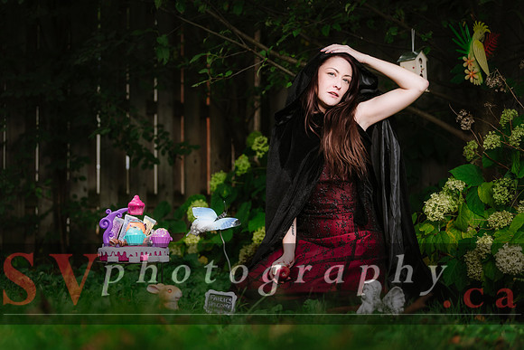 Little Red Riding Hood
