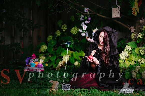 Little Red Riding Hood