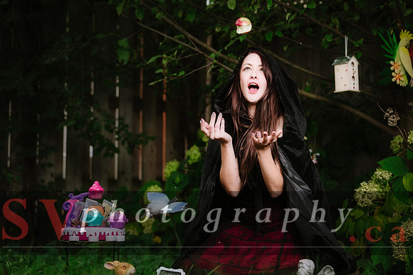 Little Red Riding Hood