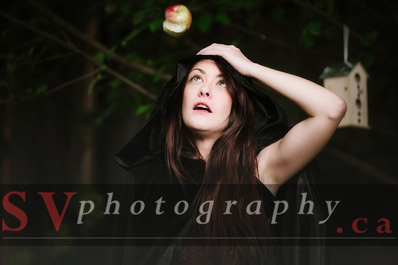 Little Red Riding Hood
