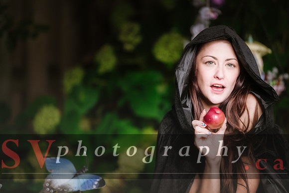 Little Red Riding Hood