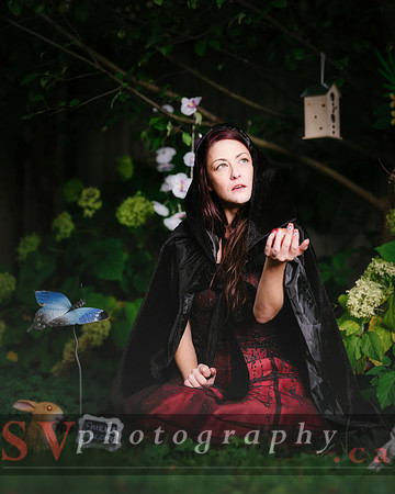 Little Red Riding Hood