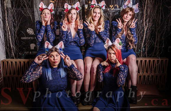 The White Rabbit