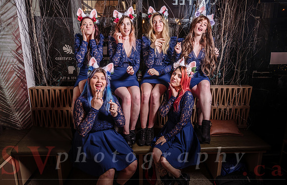 The White Rabbit