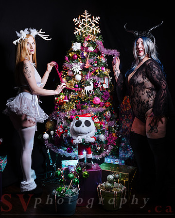 Christmas Fun