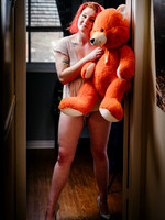 The Teddy