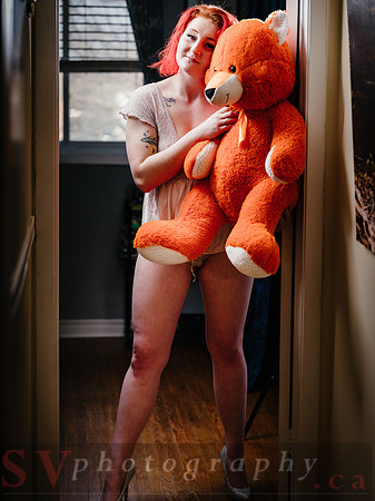 The Teddy