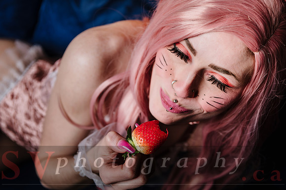 The Bunny