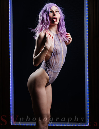 The Purple Bunny