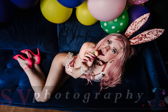 The Bunny