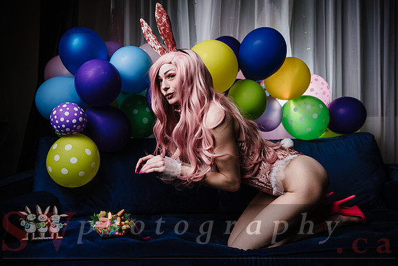 The Bunny