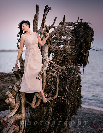 Lady of the Lake