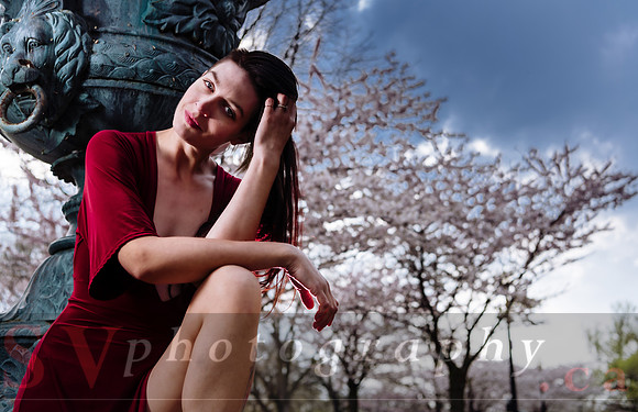 Lady in Red