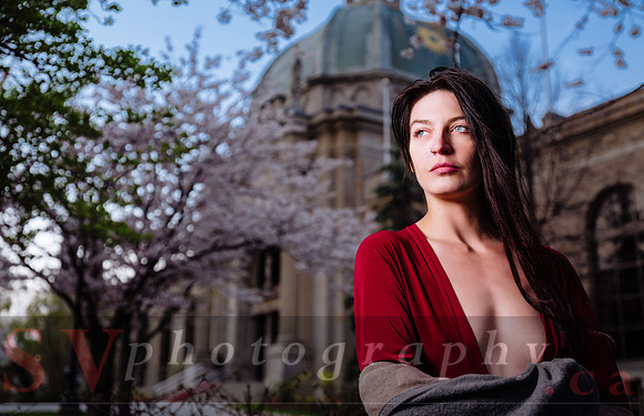 Lady in Red