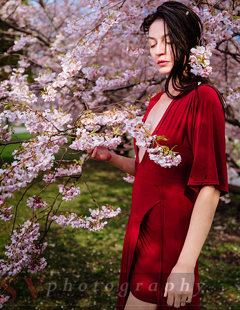 Lady in Red