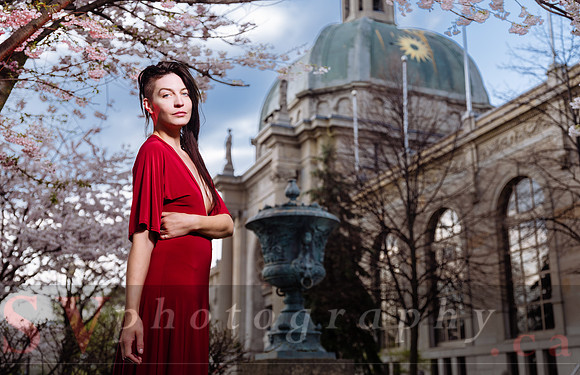 Lady in Red
