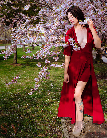 Lady in Red
