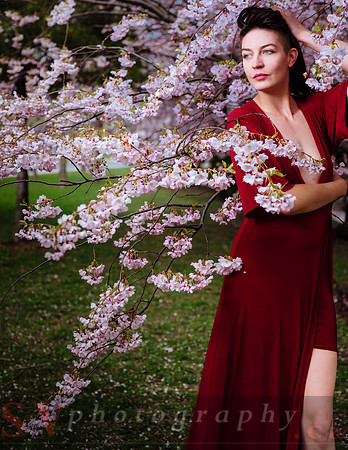 Lady in Red