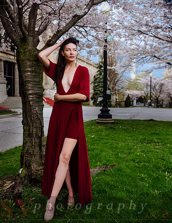 Lady in Red