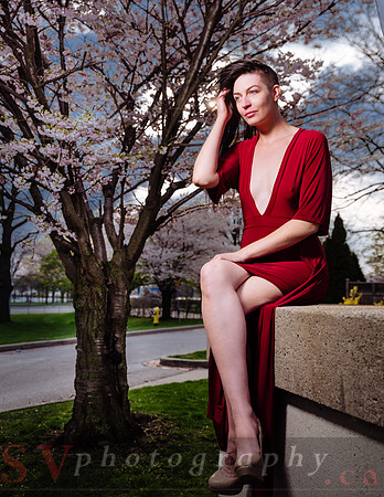 Lady in Red