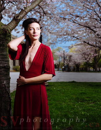 Lady in Red