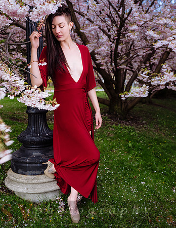 Lady in Red