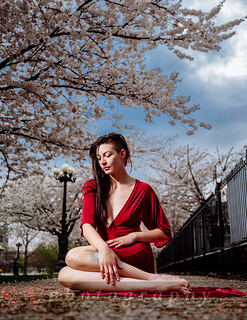 Lady in Red