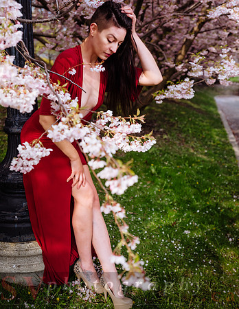 Lady in Red