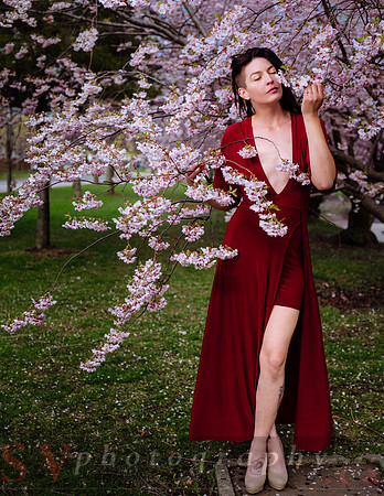 Lady in Red