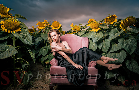 At the Sunflower Farm
