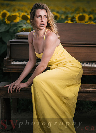 At the Sunflower Farm