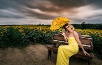 At the Sunflower Farm