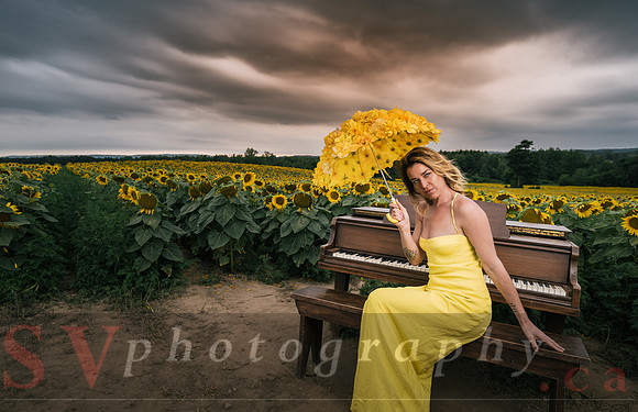 At the Sunflower Farm