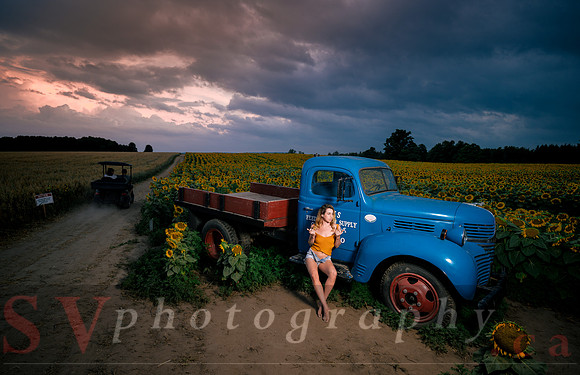 At the Sunflower Farm