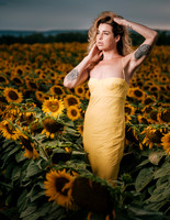 At the Sunflower Farm