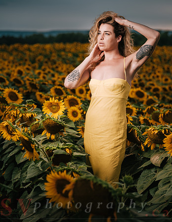 At the Sunflower Farm