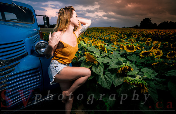 At the Sunflower Farm