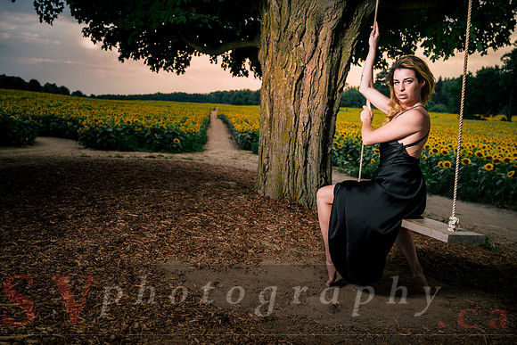 At the Sunflower Farm